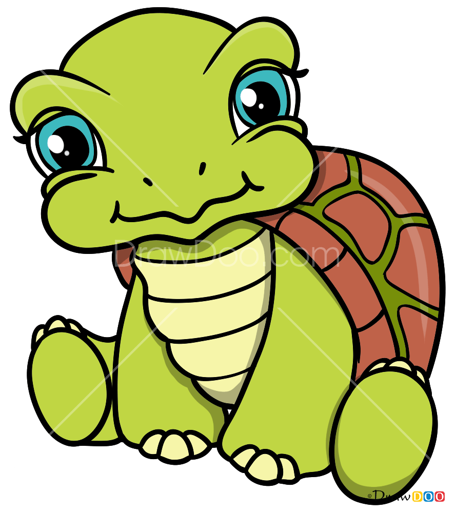 How to Draw Baby Turtle, Baby Animals